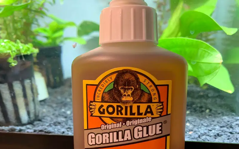 Is Gorilla Glue Safe for Aquariums