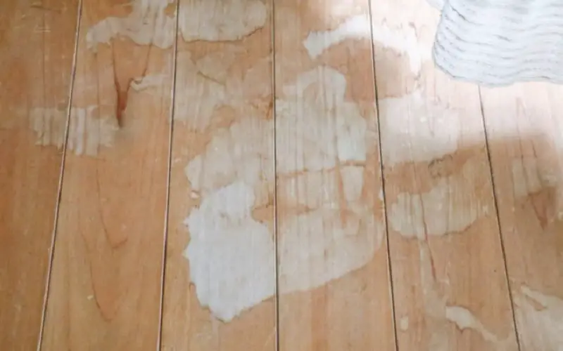 How to Remove Glue from Hardwood Floors Naturally